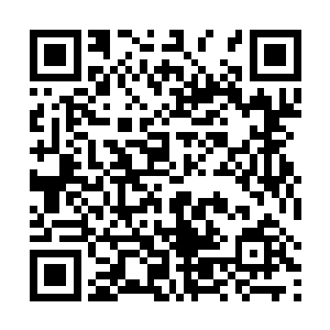 可是我知道那样的骨器我肯定没有那么多骨币可以买下二维码生成