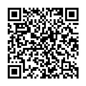 可是我还是将自己收取的那些法则矿脉全部送给了地宇天神二维码生成