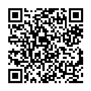 可是拳头却在离罗素素身体只有咫尺之隔的地方停下二维码生成