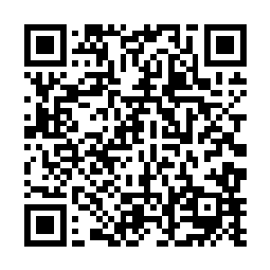 可是接下来那头大家伙的模样确实像人类呛水后的表现二维码生成