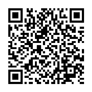 可是无论他怎么用力都不能够把水果刀从苏凡的手指中间抽出来二维码生成