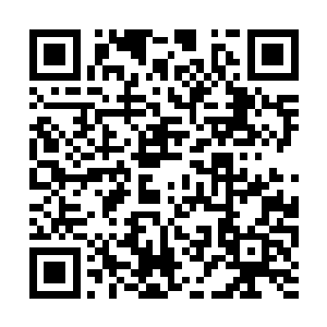 可是来这里面对着这些又实在却是有点教坏小孩子二维码生成