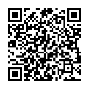 可是梓箐的双手紧紧抓着对方小巧的柔若无骨的肩膀二维码生成