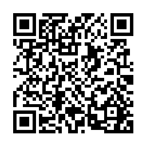可是此时完全进入状态的叶凡根本就没有注意到自己手上的力道二维码生成