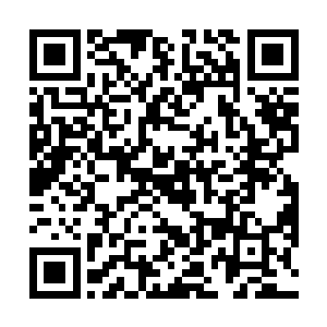 可是此时约瑟夫和卡尔两个人却是一脸诧异地看着雨果二维码生成