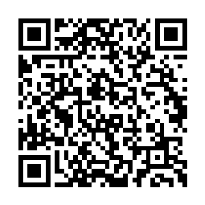 可是沈笑薇和米晓琪的打斗并没有就此消停下来二维码生成