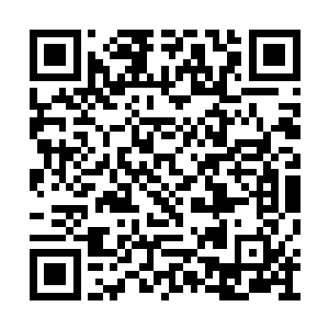 可是环海集团却聘请我为岸上渔村的技术总经理二维码生成