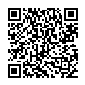 可是现在修真了之后才发现原来天域不过是一个小小的角落罢了二维码生成