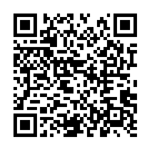 可是现在却在云东市祝南镇遭到了前所未有的惨败二维码生成