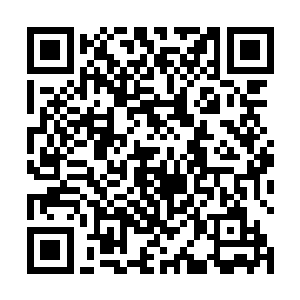 可是现在夏天居然说自己最高可以打出五万的战斗力值二维码生成