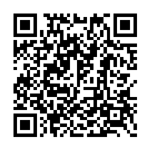 可是现在看着那么大的元晶就在自己眼皮子底下二维码生成