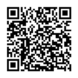 可是现在竟然从龙傲天的身上感受到了那恐怖的威胁二维码生成