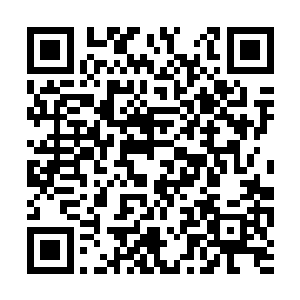 可是目光却不经意地扫过洛家的两个姑娘和洛兰均二维码生成