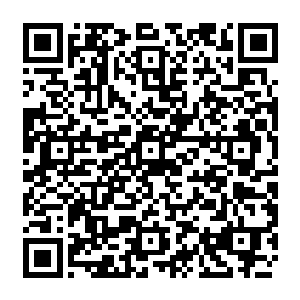可是直到发现那些气劲根本对他们面前的防护罩造不成威胁的时候才彻底的放心了二维码生成