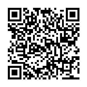 可是看起来他现在的等级和实力都比自己强多了……为什么二维码生成