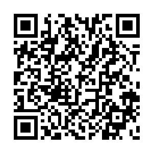 可是真的到了岛上后才发现这里居然是鸟的天堂二维码生成