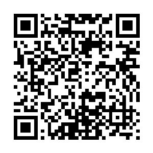 可是眼前这个太子明明就是一个比蛋蛋大几岁的孩子啊二维码生成