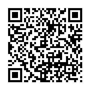 可是眼前这位小少主……就像个任性妄为的小霸王二维码生成