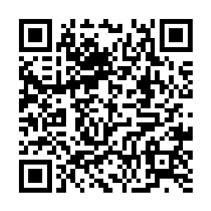 可是等到孙子轩面对黑色巨蟒的时候依然还是要抓瞎二维码生成