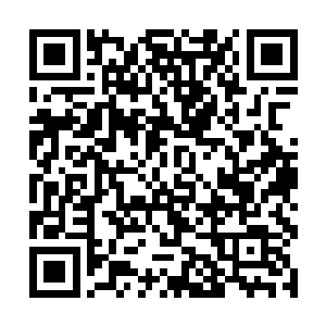 可是能在大家心目当中留下她是未来大少夫人的印象二维码生成