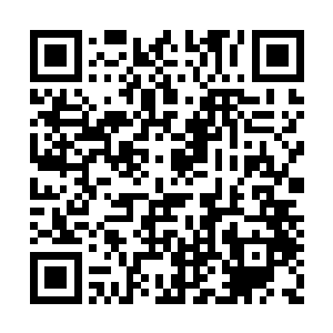 可是被他聚集到一起的人却已经视他为衣食父母二维码生成