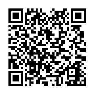 可是观众们给予它的掌声和欢呼声一点都没有减少二维码生成