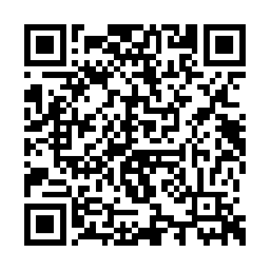 可是谁知道小白龙是真正的意识到了自己的错误二维码生成