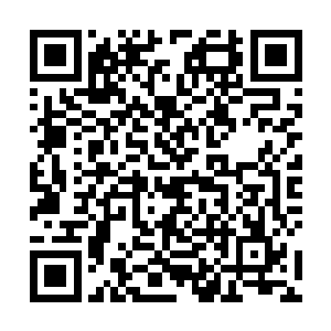 可是踏雪无痕墨角腾云兽此刻正带着它家小幼崽回去山二维码生成