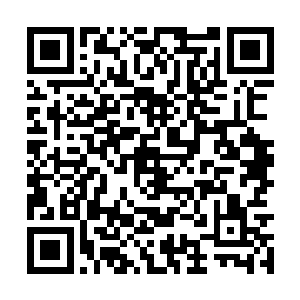 可是身后的追随着可是每一个都达到了王者的实力二维码生成