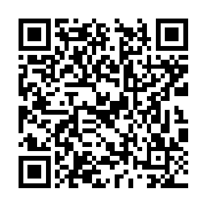 可是还有老大老二以及两个媳妇也都不是省油的灯二维码生成