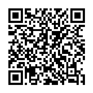 可是这一次红色探针增长的速度却远比想象中的要慢了许多二维码生成