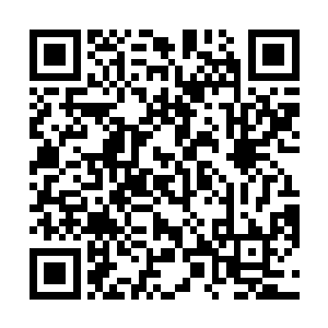 可是这个时候人们把目光又投向了还在屋顶上的丁长生二维码生成