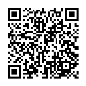可是这价格……简直不是普通玩家可以觊觎的呀二维码生成