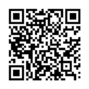 可是这和崇圣寺塔尖的金翅鸟不一样啊二维码生成