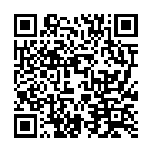 可是这攻击的时候产生的气劲却把龙傲天震退了好几步二维码生成