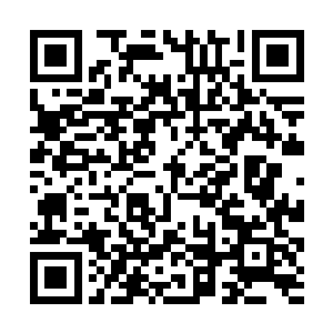 可是这样一来他手里面抱着的资料立刻就散落了一地二维码生成