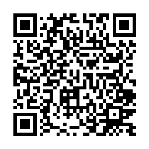 可是这样的事儿本身就超过了她一个小小管家的干涉权限二维码生成