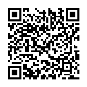 可是这群人偏偏对杨辰有着自骨子里的臣服的意味二维码生成