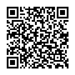 可是这跟上位神高手比起来简直就没有一点区别二维码生成