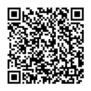 可是连大皇子都误伤了……也不像是一贯疼爱孩子的皇贵妃能赶出来的事情二维码生成