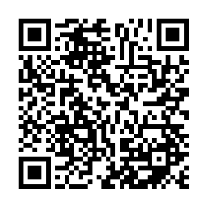 可是迸发出的巨大力量甚至还要超过这些精选的血族战士二维码生成