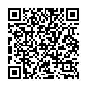 可是那个死丫头带来的小子硬是把老头子救回来了二维码生成