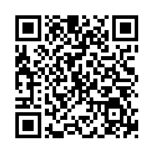 可是那可以紫气在他手中依旧可以伤害到自己二维码生成