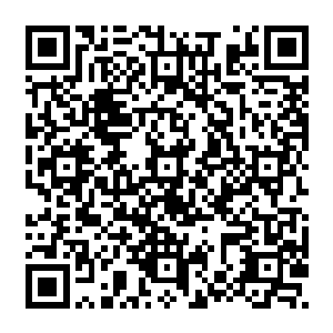 可是陈凌还是灵敏的感觉到原本一颗绿豆大小的灵玉现在貌似比之前大了一点五倍二维码生成
