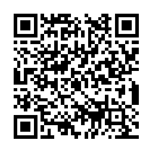 可是震宇天神作为上等种族之中的境界最高的族长二维码生成