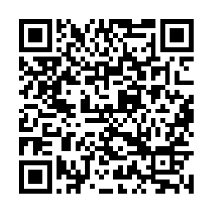 可是面前的这个生物竟然把这个斑鬣狗群给灭族了二维码生成