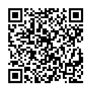 可是龙幼萱和龙鼎天都忽略了莫小鱼的脸皮厚度二维码生成