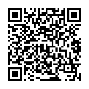 可最终他们中最厉害的也不过只是止步于五鼎地巫二维码生成