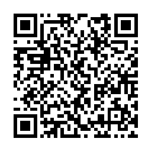 可此刻他们脸上的血色已经出卖了他们的真实心情二维码生成