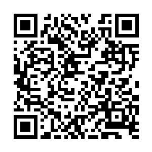 可每每谢姝宁看到她的二伯父一个个往府里领孩子二维码生成